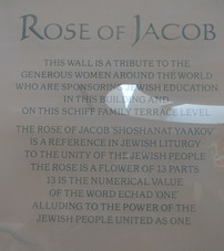 jacobs rose